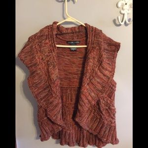 United States SweaterRust Teracotta Sweater Vest